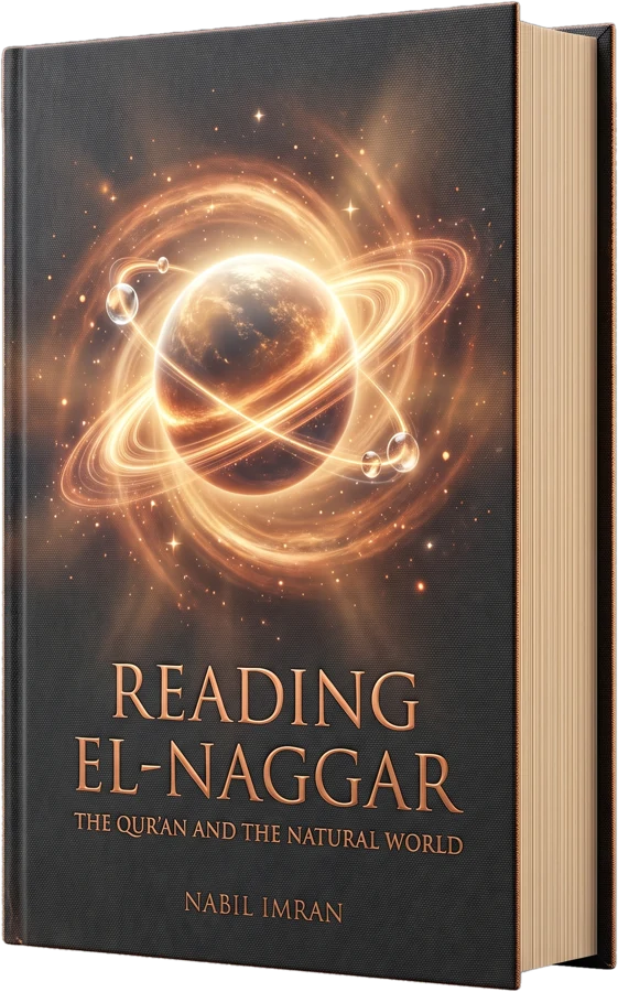 Reading El-Naggar — hardcover